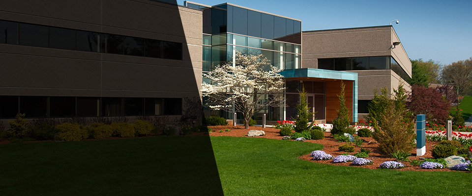 Bangor Landscapers