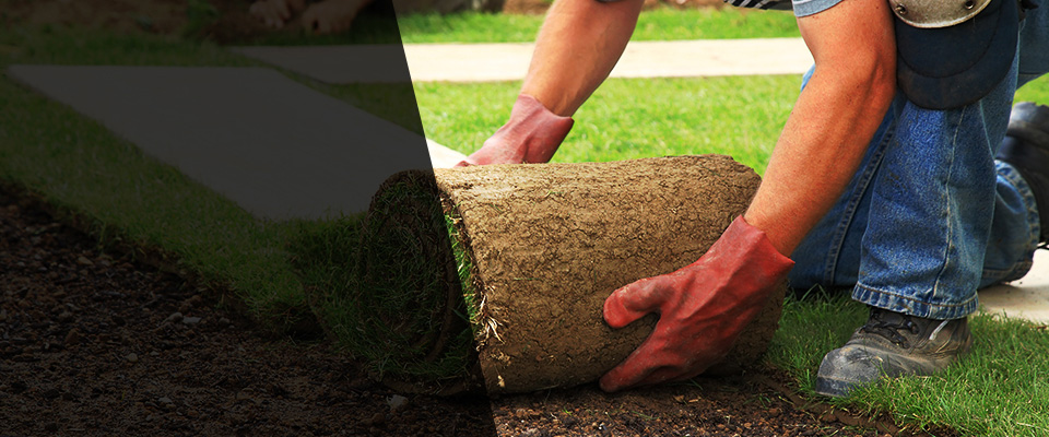 Bangor Landscapers